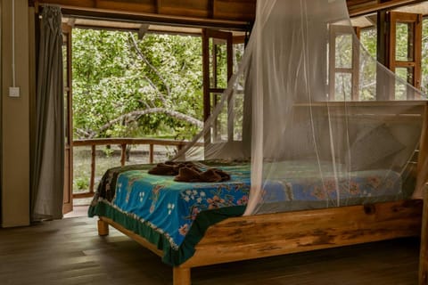 Bed