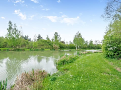 Teal - Uk41036 House in Newark and Sherwood District