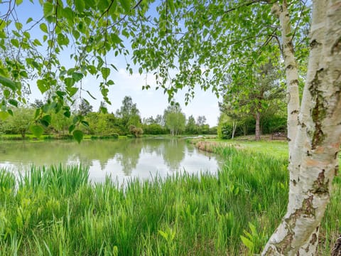 Teal - Uk41036 House in Newark and Sherwood District