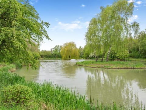 Kingfisher - Uk41034 House in Newark and Sherwood District