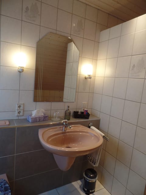 DG Wohn-Schlafraum mit Bad Apartment in Ramstein-Miesenbach