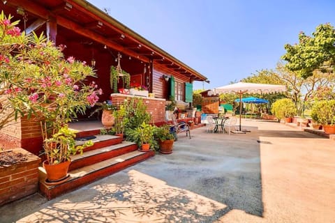 Spring, Day, Garden, Garden view