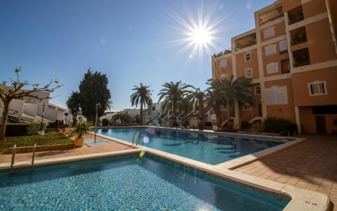 Garden, Swimming pool