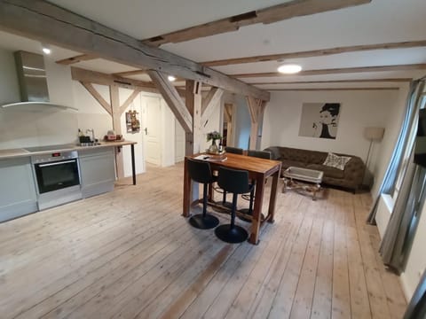 Kitchen or kitchenette, Living room, Seating area, Dining area, heating, stove