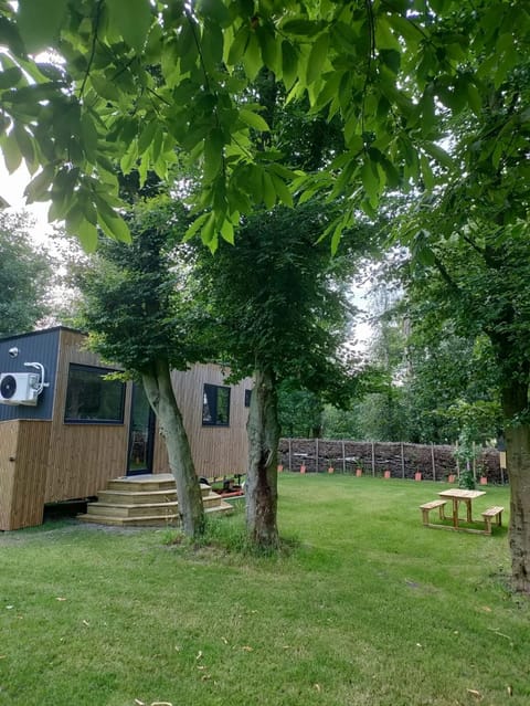 Garden, Garden, Garden view