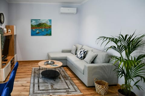 TV and multimedia, Living room, Seating area, air conditioner