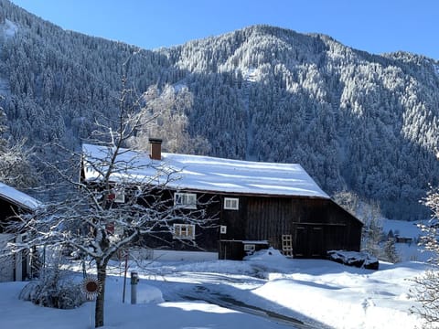 Property building, Winter