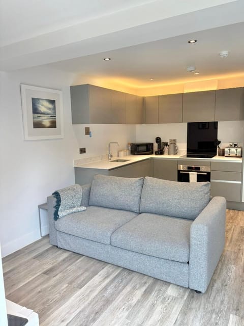 Living room, dishwasher, oven, kitchen