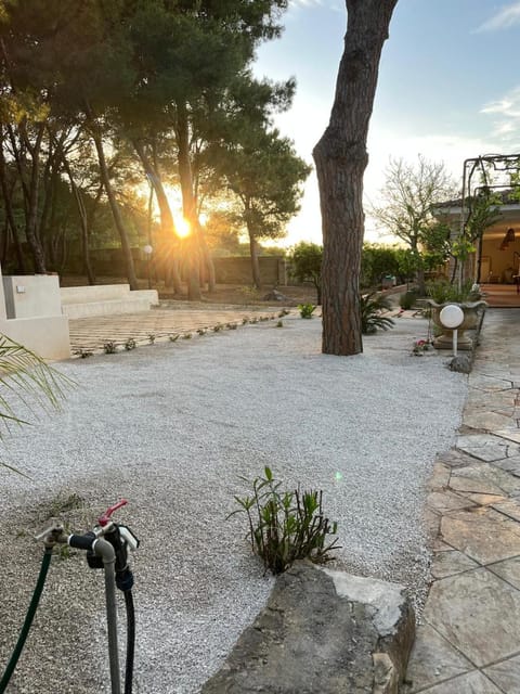 Garden, Garden view