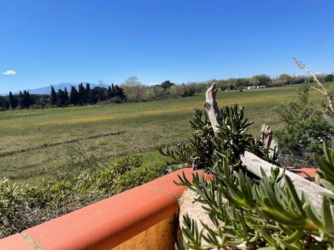 Natural landscape