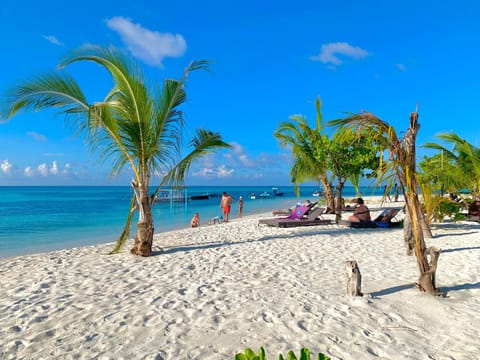 Day, Natural landscape, Beach, Sea view