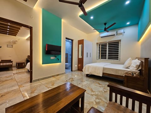 Bed, TV and multimedia, Living room, Photo of the whole room, Seating area, Bedroom, air conditioner
