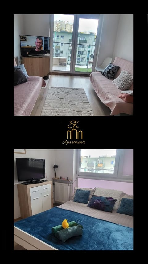 Bed, TV and multimedia, Living room, Photo of the whole room, Bedroom