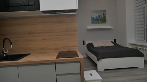 Kitchen or kitchenette, Bedroom