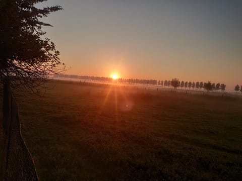 Natural landscape, Sunset