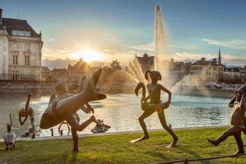Coin de nature en centre-ville Apartment in Troyes
