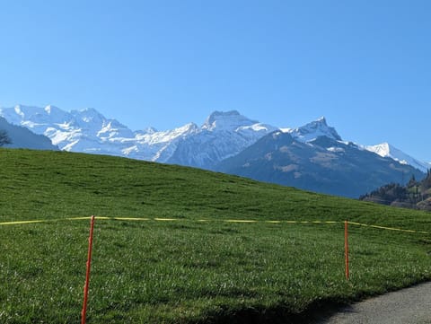 Chalet Mutschli Apartment in Canton of Valais