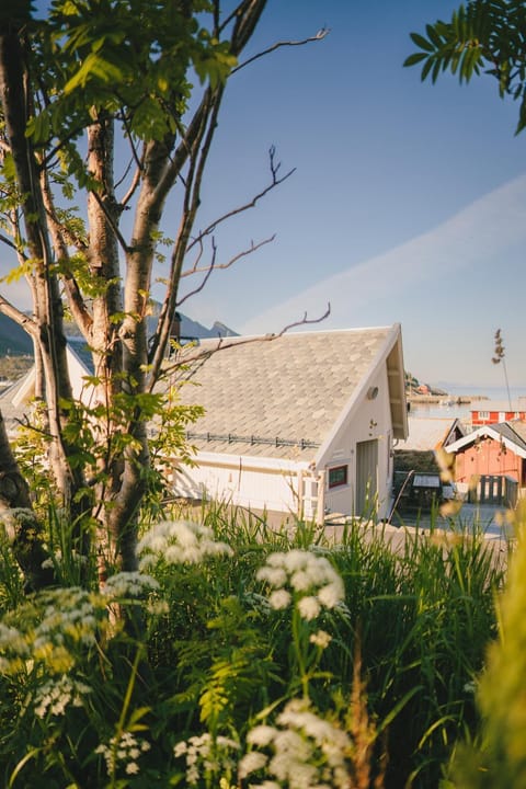 Astabrygga - Lofoten Jacuzzi House in Lofoten