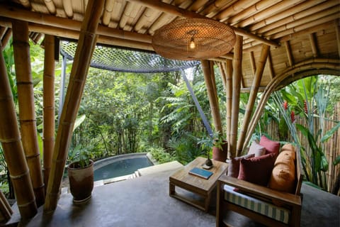 Day, Garden, View (from property/room), Living room, Garden view