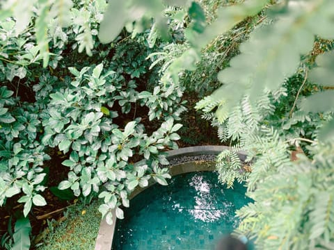Day, Pool view, Swimming pool