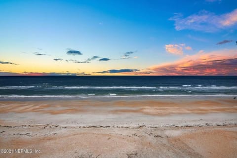 SA102 NEW Ponte Vedra Estate home House in Florida