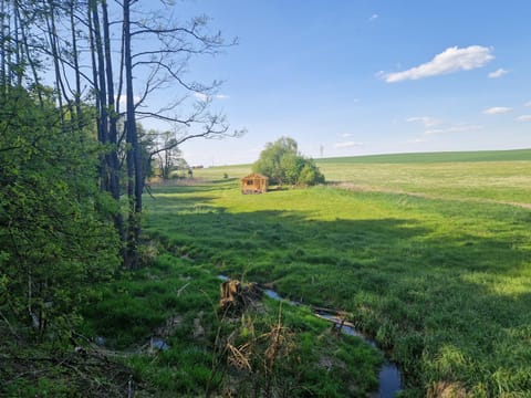 Property building, Bird's eye view, River view