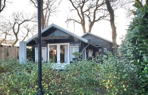 Property building, Garden, Garden view