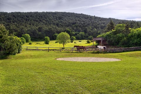Day, Natural landscape