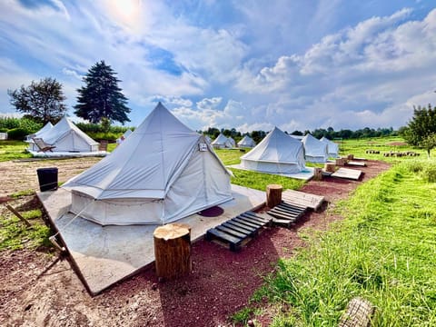 Spring, Day, Natural landscape, Garden