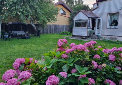 Day, Garden view