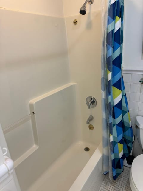 Shower, Toilet, Bathroom, Bath, towels