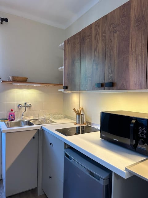 Studio Le Clocher Apartment in Saint-Étienne-de-Tinée