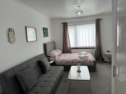 Bed, Living room, Photo of the whole room, Seating area, Bedroom