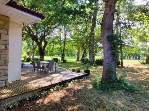 Patio, Day, Garden view