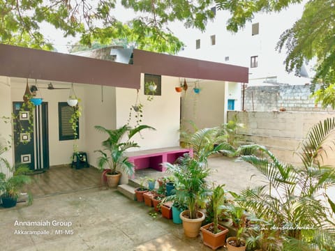 Patio, Spring, Day, Garden, Garden view