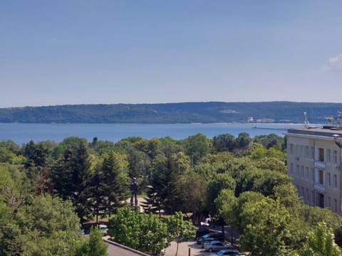 Bird's eye view, Beach, City view, Lake view, Sea view, Sea view, Location