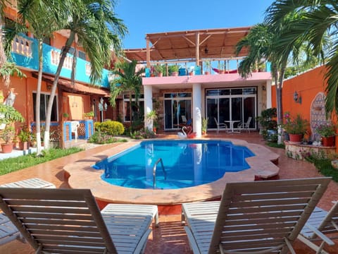 Patio, Day, Garden, Garden view, Pool view, Swimming pool