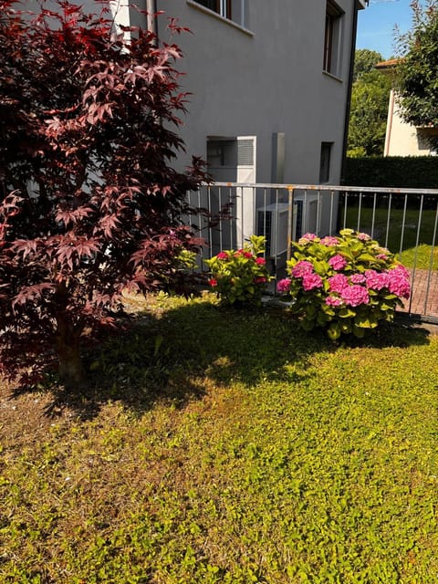 Property building, Spring, Day, Summer, Garden, Garden view
