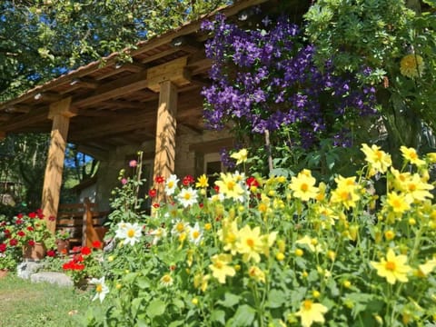 Spring, Day, Garden, Garden view