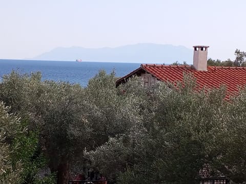 Villa Asimidou House in Evros, Greece