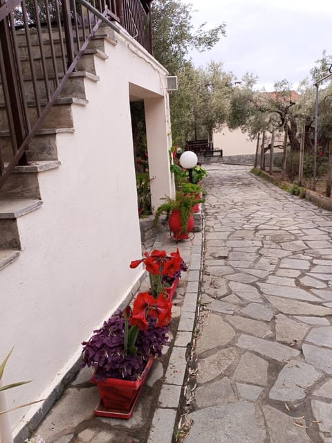 Villa Asimidou House in Evros, Greece