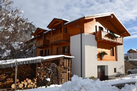 Property building, Winter, Garden, Garden view