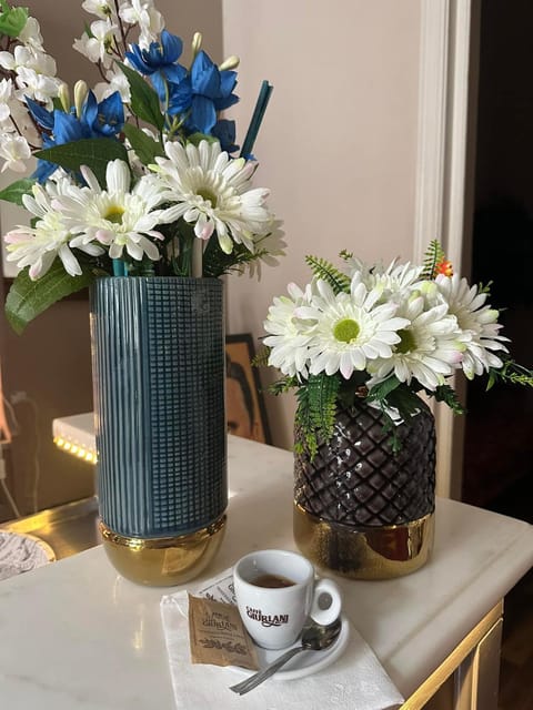 Fly in Viareggio beach in front of the famous promenade with shops and establishments Bed and Breakfast in Viareggio