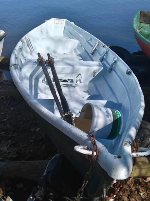 Natural landscape, Activities