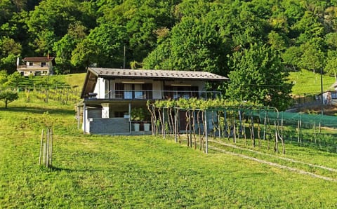 Property building, Spring, Day, Natural landscape, Garden, Garden view