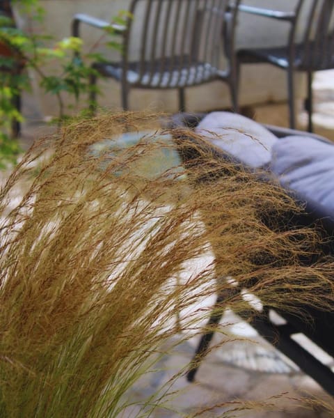 EppyTime Roma Apartment in Rome