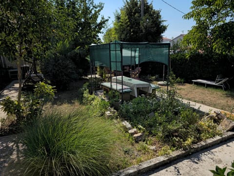 Spring, Day, Garden, Garden view