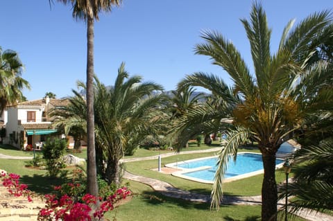 Garden, Pool view, Swimming pool