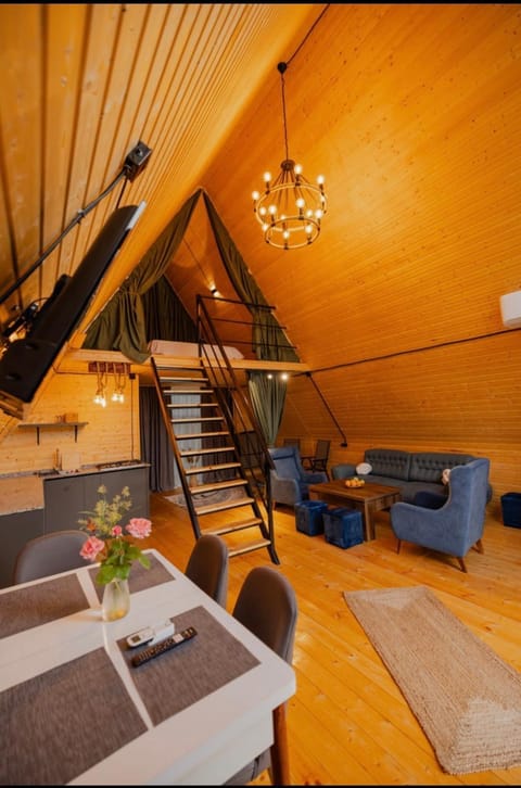 Bed, Living room, Photo of the whole room, Seating area, Bedroom