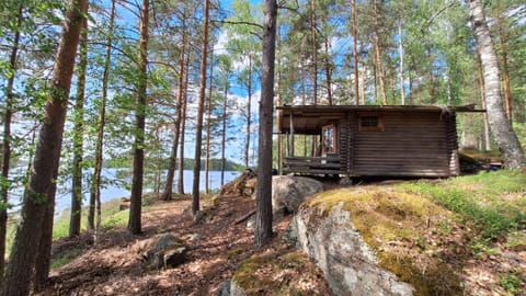 Property building, Natural landscape, Lake view